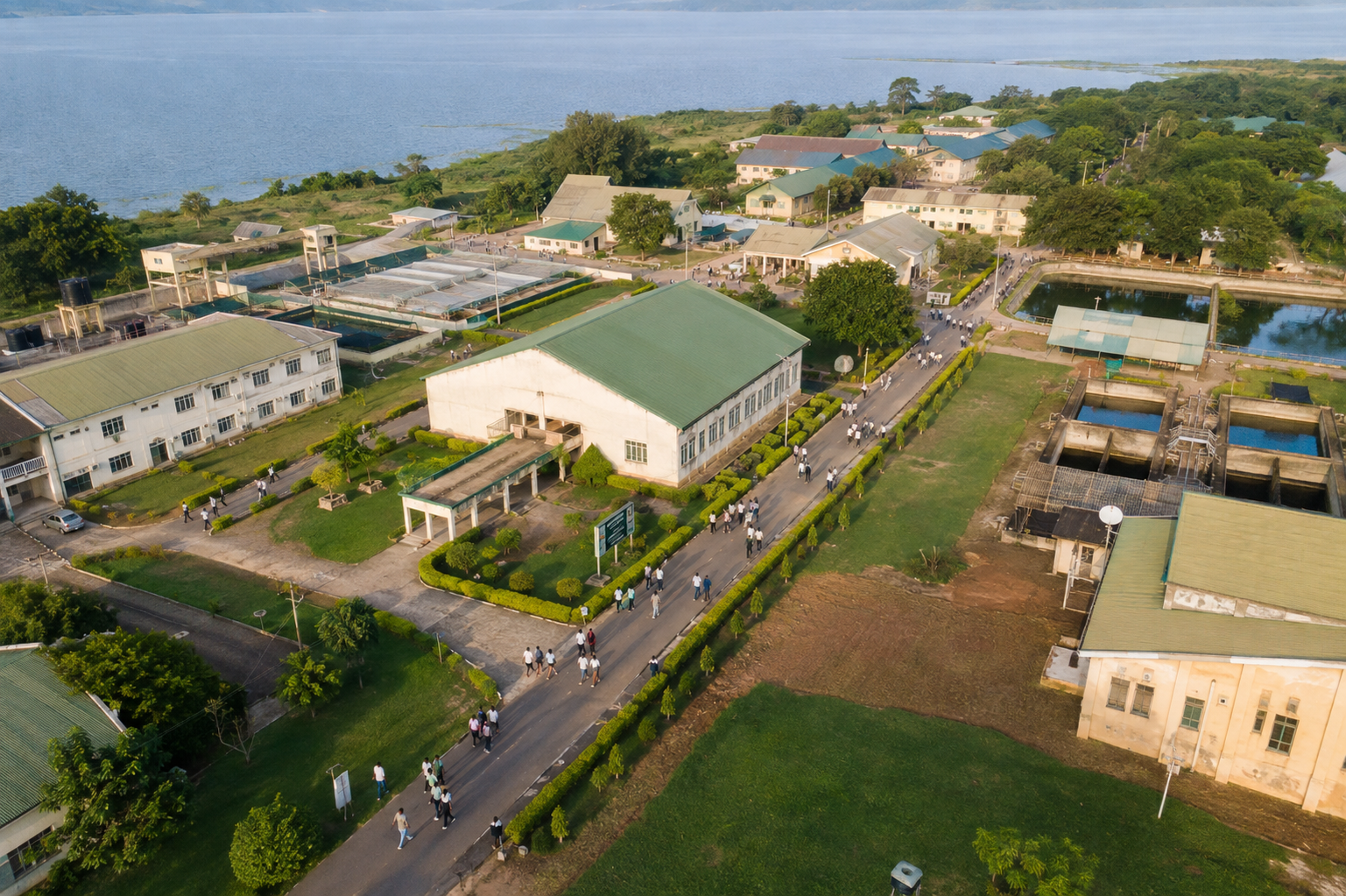 FCFFT Campus